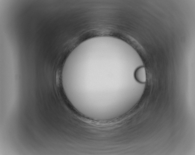 X0000112840026200908211008