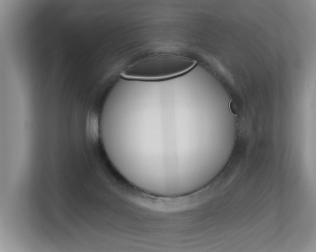 X0000112840027200908211008