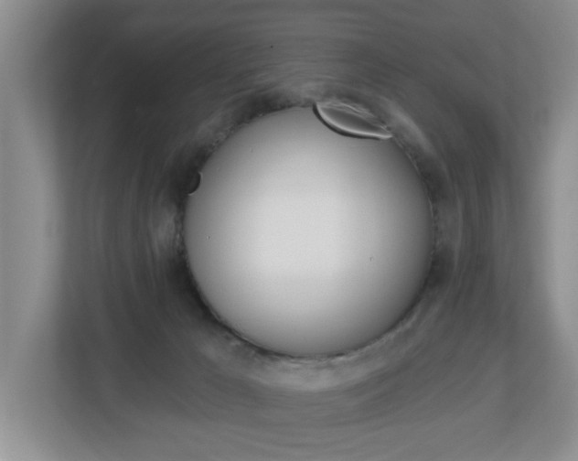 X0000112840029200908211008