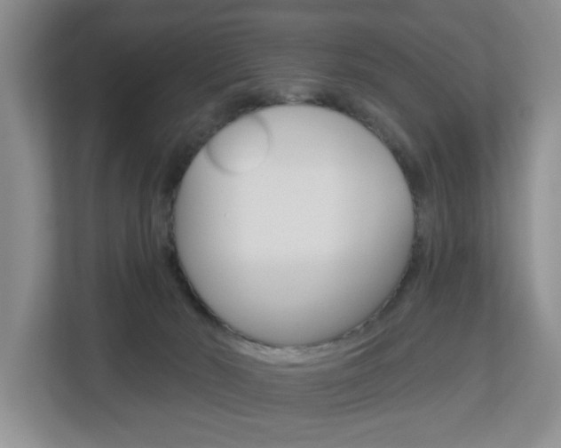 X0000112840030200908211008