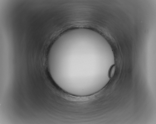 X0000112840031200908211008