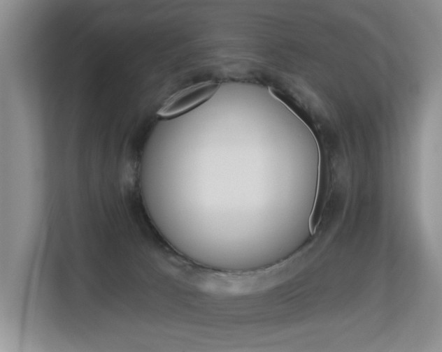 X0000112840033200908211008