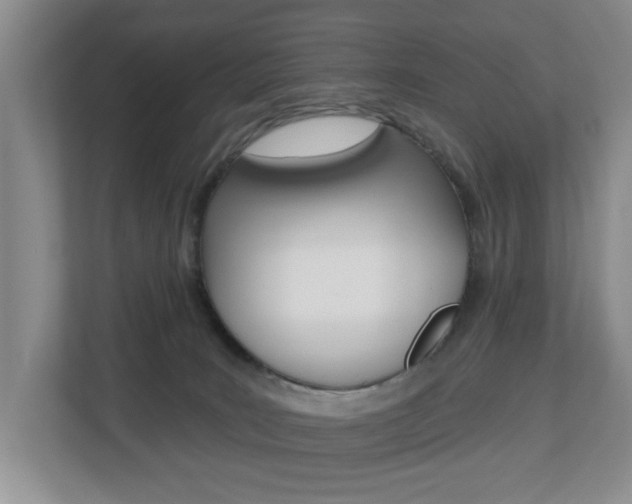 X0000112840035200908211008