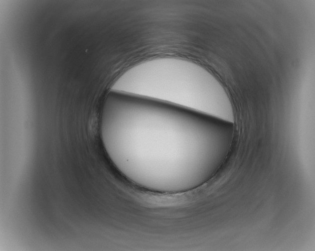 X0000112840036200908211008