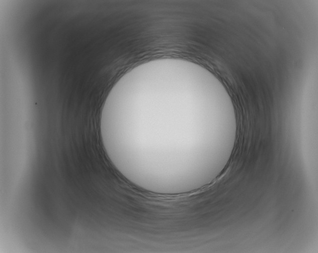 X0000112840037200908211008