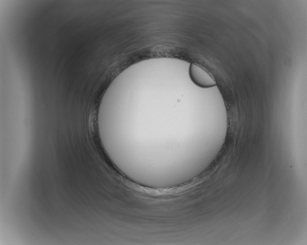 X0000112840038200908211007