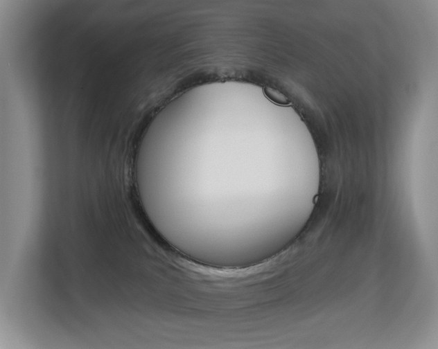 X0000112840039200908211007