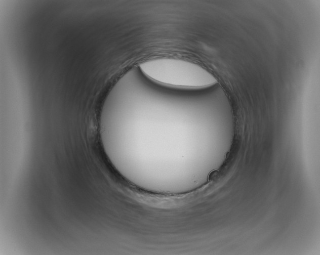 X0000112840040200908211007