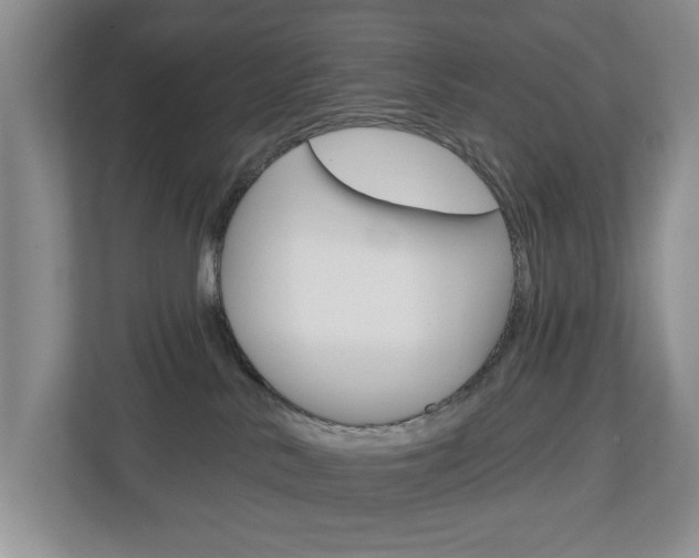 X0000112840042200908211007