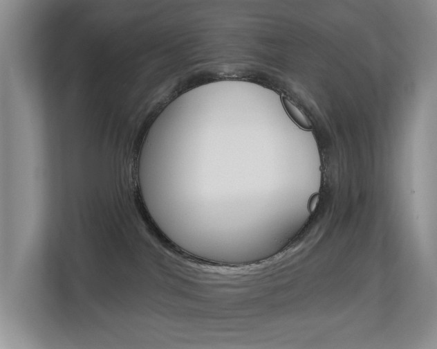 X0000112840044200908211007