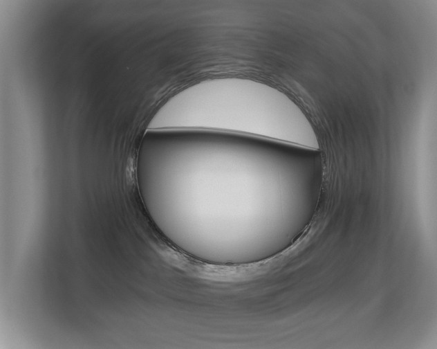 X0000112840045200908211007