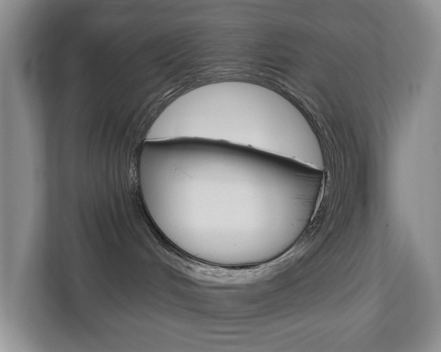 X0000112840048200908211007