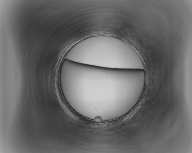 X0000112840049200908211007