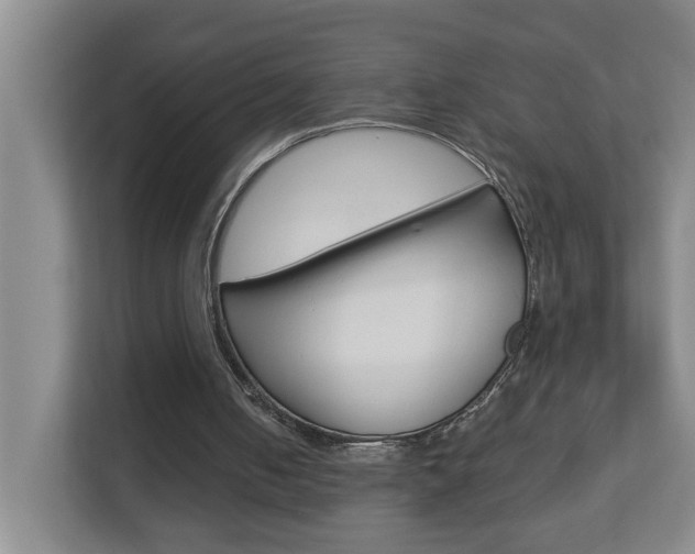 X0000112840050200908211007