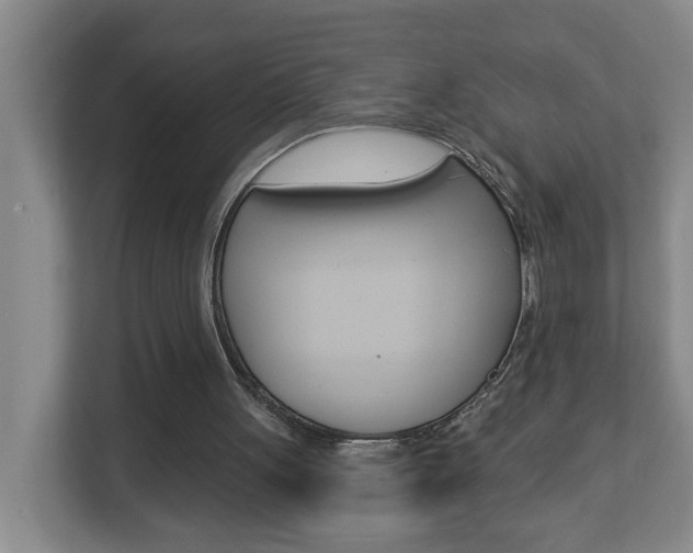 X0000112840051200908211007