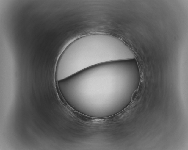 X0000112840052200908211007