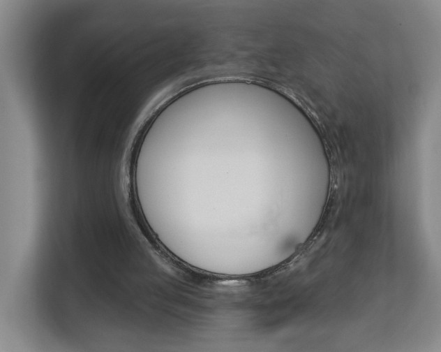 X0000112840053200908211007