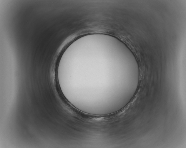 X0000112840054200908211007