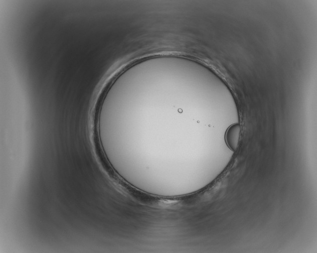 X0000112840055200908211007