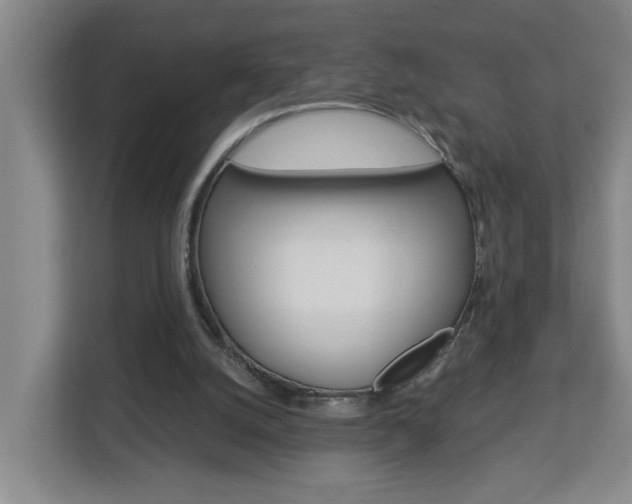 X0000112840056200908211007