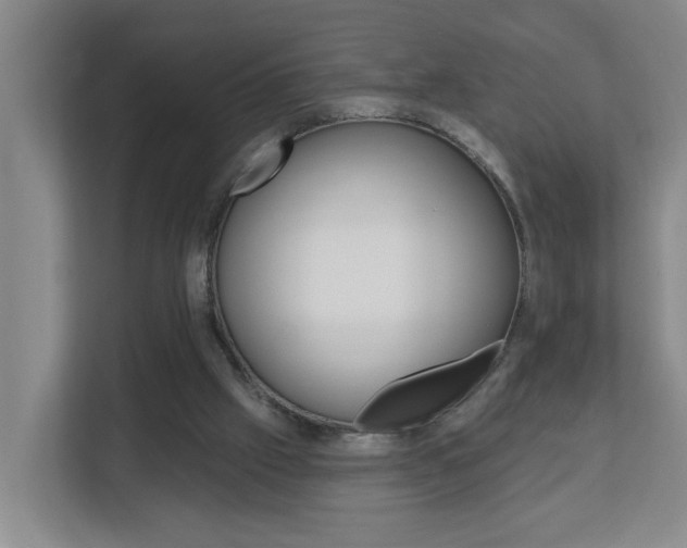 X0000112840057200908211007