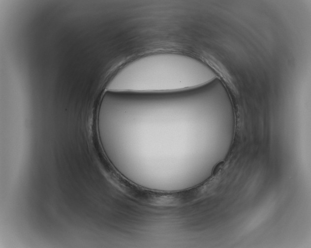 X0000112840058200908211007