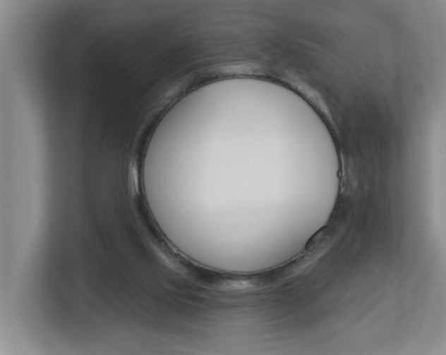 X0000112840061200908211007