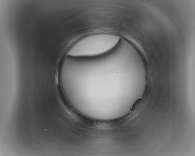 X0000112840062200908211007