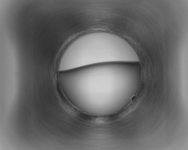 X0000112840064200908211007