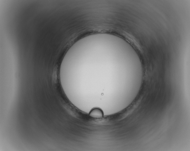 X0000112840065200908211007