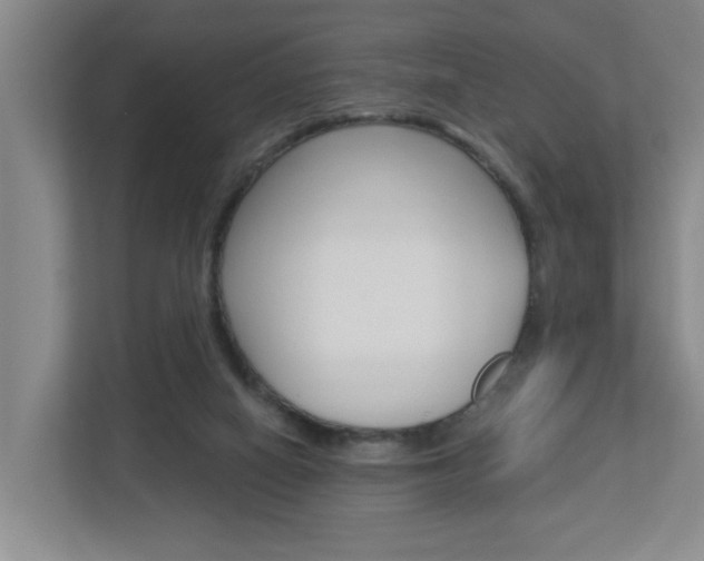 X0000112840066200908211007