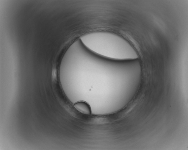 X0000112840067200908211007