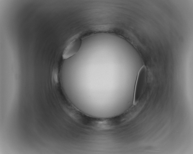 X0000112840068200908211007