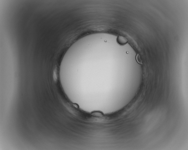 X0000112840069200908211007