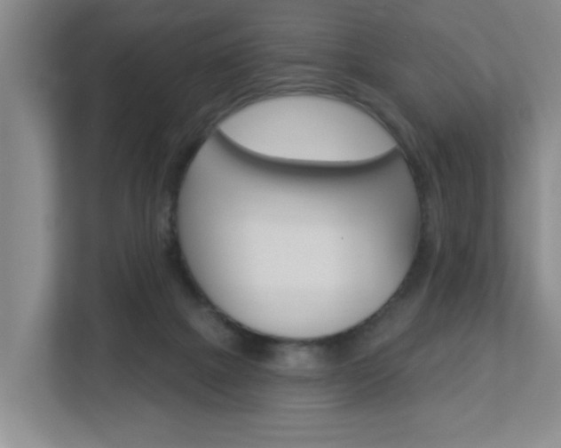 X0000112840073200908211007