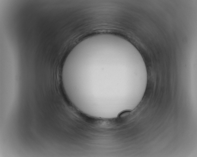 X0000112840074200908211007