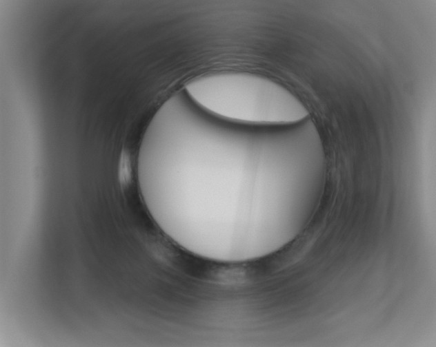 X0000112840075200908211007