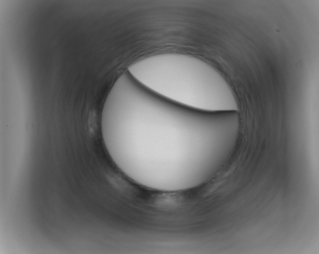 X0000112840077200908211007