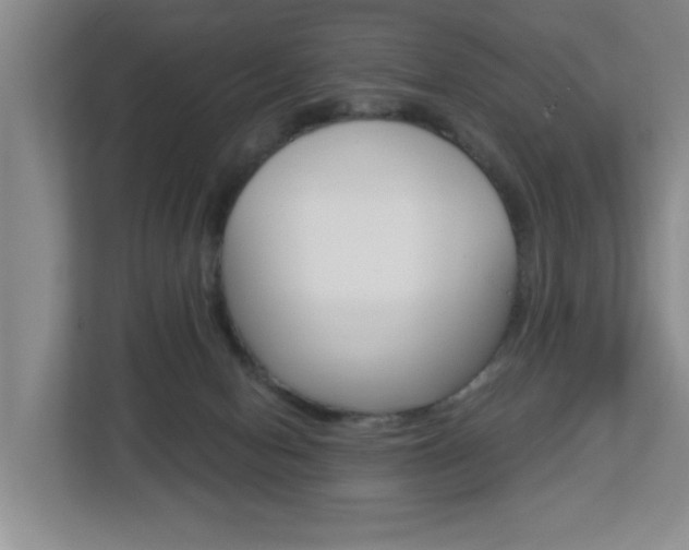 X0000112840078200908211007