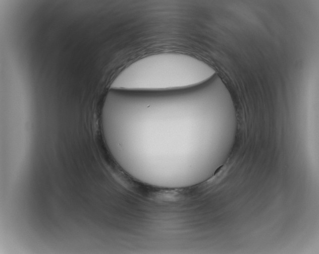 X0000112840086200908211007