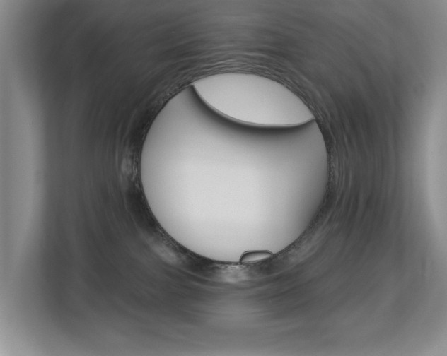 X0000112840091200908211007