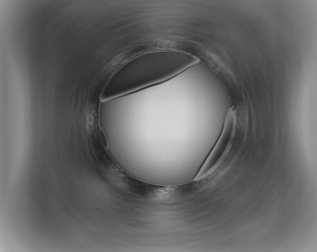 X0000112840092200908211007