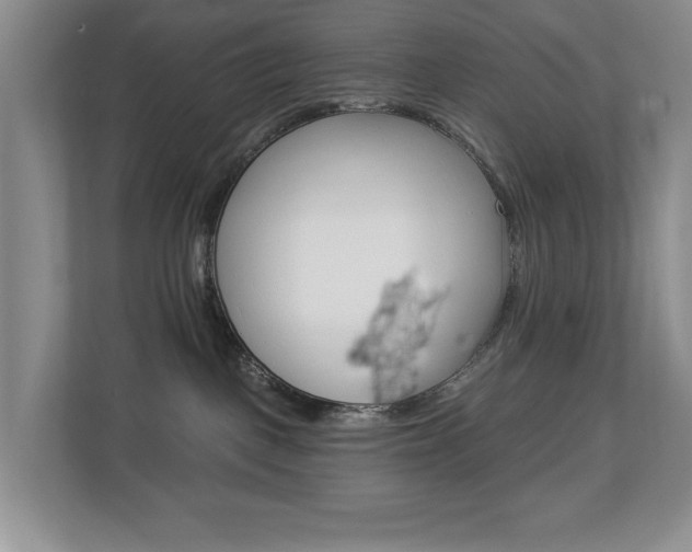 X0000112840093200908211007