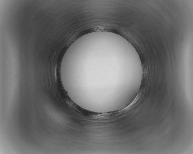 X0000112840094200908211007