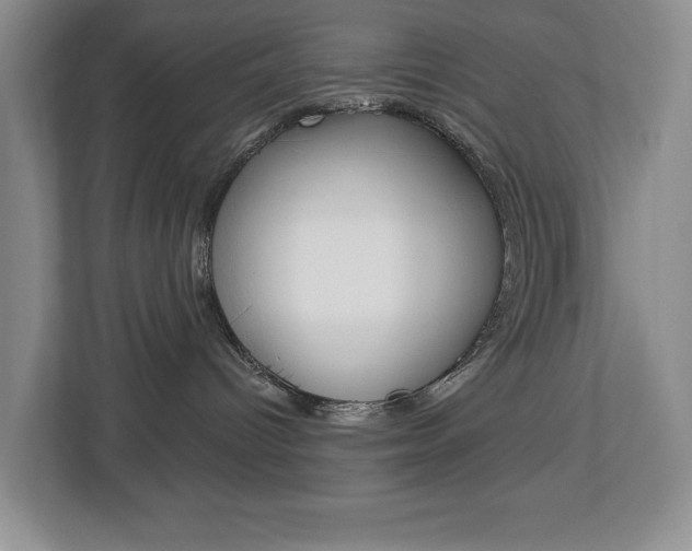 X0000112840096200908211007