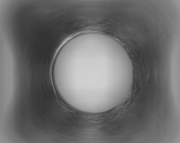 X0000112840100200908211007