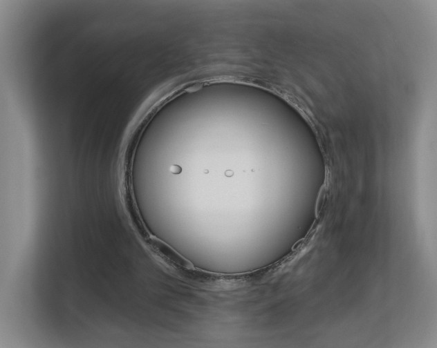 X0000112840101200908211007