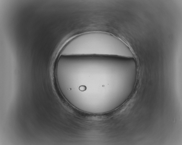 X0000112840103200908211007