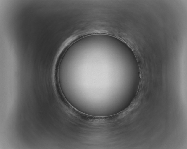 X0000112840104200908211007