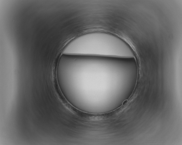 X0000112840105200908211007